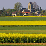 © Van Gogh Institute – photographer Erik Hesmerg