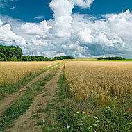 © Van Gogh Institute – photographer Erik Hesmerg