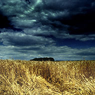 © Van Gogh Institute – photographer Erik Hesmerg