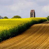 © Van Gogh Institute – photographer Dominique Martinelli